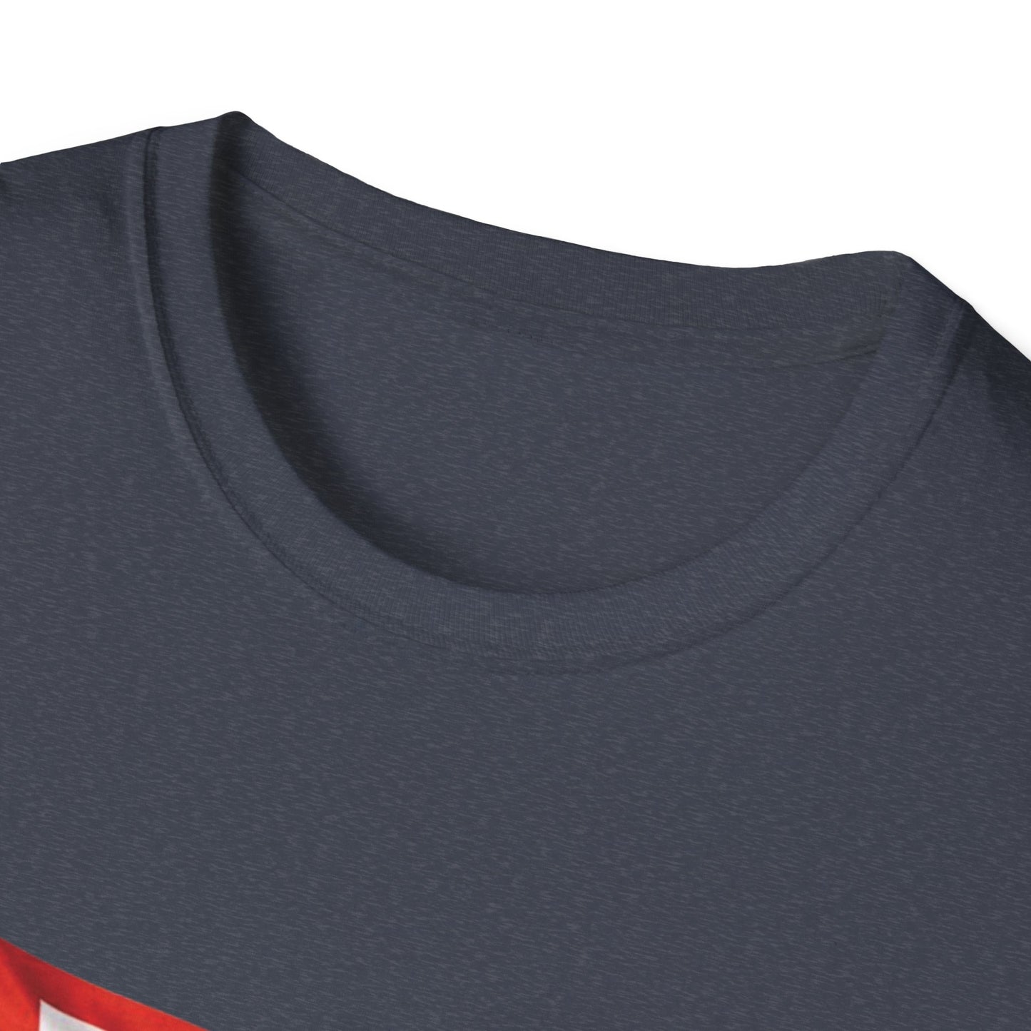 Venezuelan-Swiss Flag Graphic T-Shirt — Dual Heritage Pride Tee